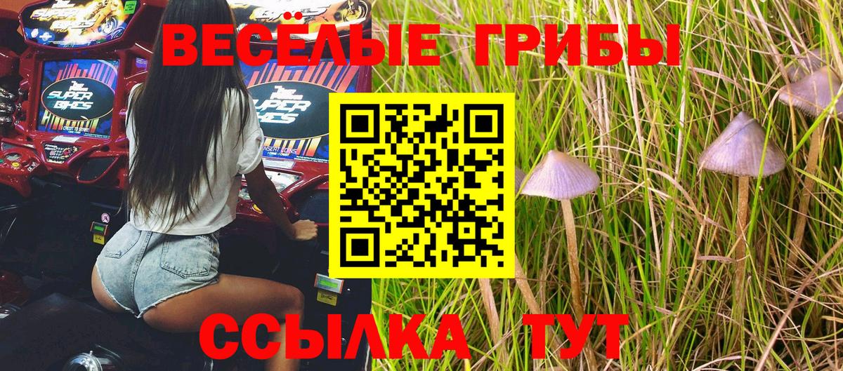 Рассказово  купить закладку  Вход с VPN  Галлюциногенные грибы Psilocybine cubensis 