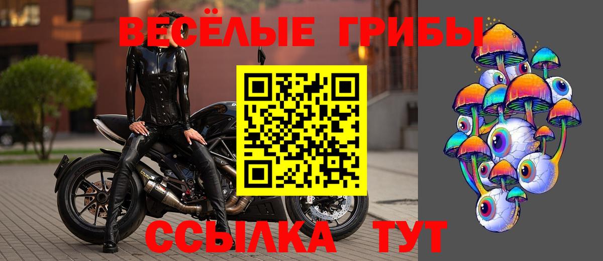 Псилоцибиновые грибы GOLDEN TEACHER Рассказово